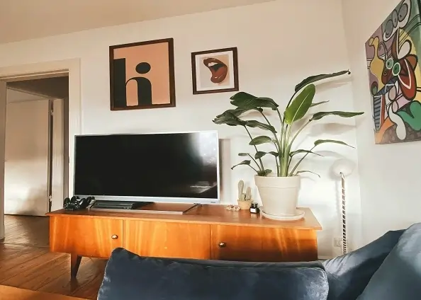 Floating TV Unit